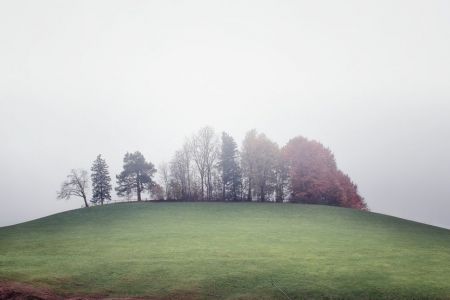 Novembernebel