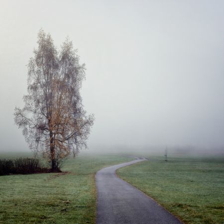 Novembernebel