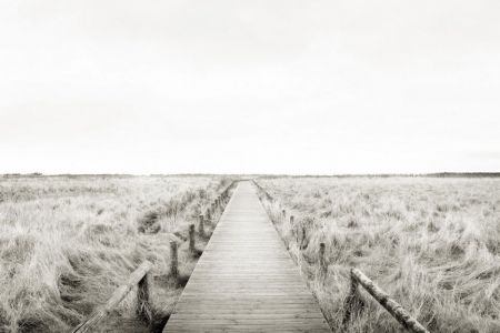 Steg über Heidelandschaft, Sylt