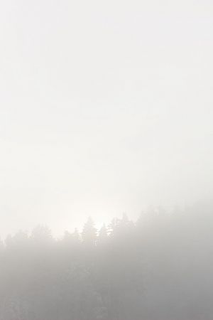 Nebelschein