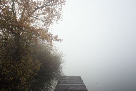 stiller Nebel / Türlersee