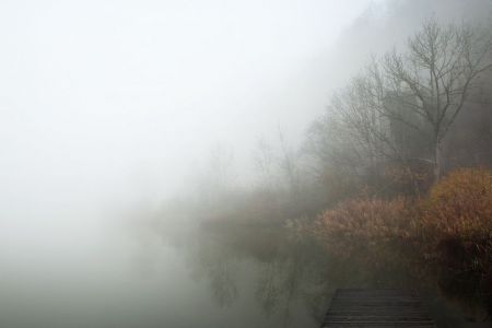 stiller Nebel / Türlersee