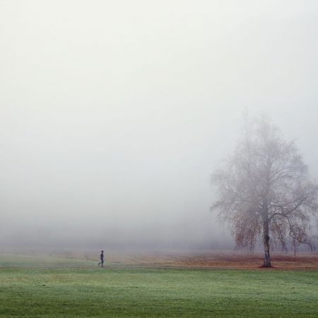 Novembernebel