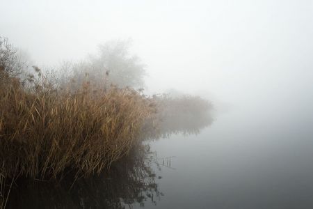 stiller Nebel / Türlersee