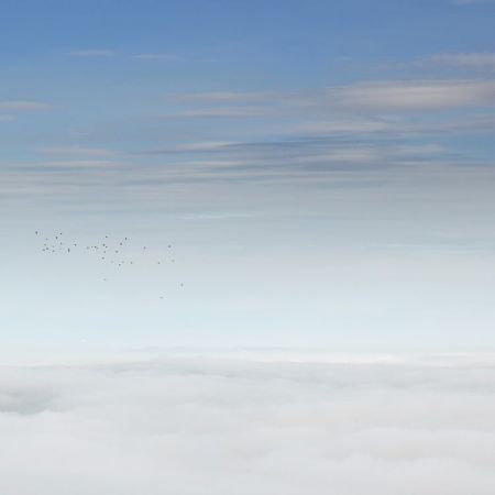 Nebel über Zürich