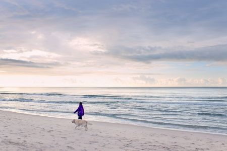 Westerland