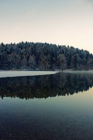 Türlersee