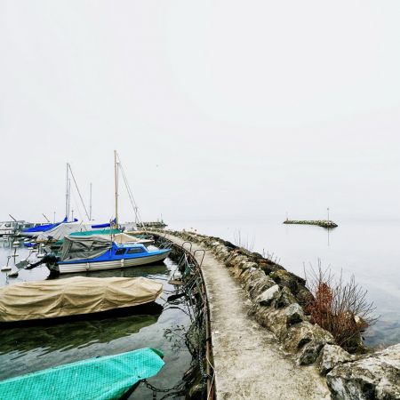 Hafen Nyon
