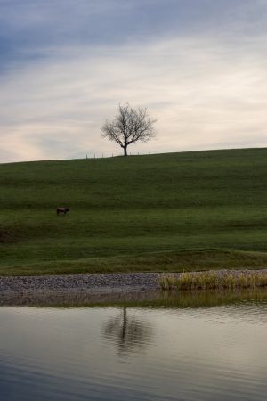 Oberstaufen, Bayern