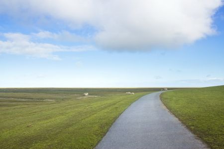 Westerhever