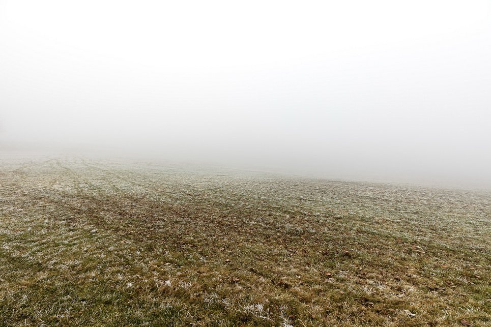 Frost