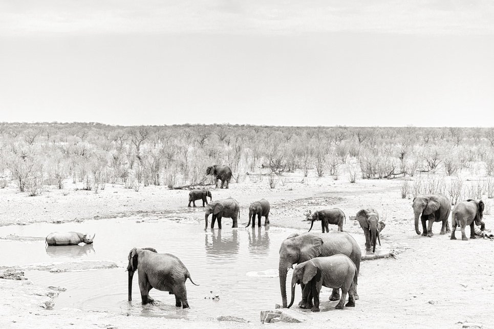 A Tier Namibia
