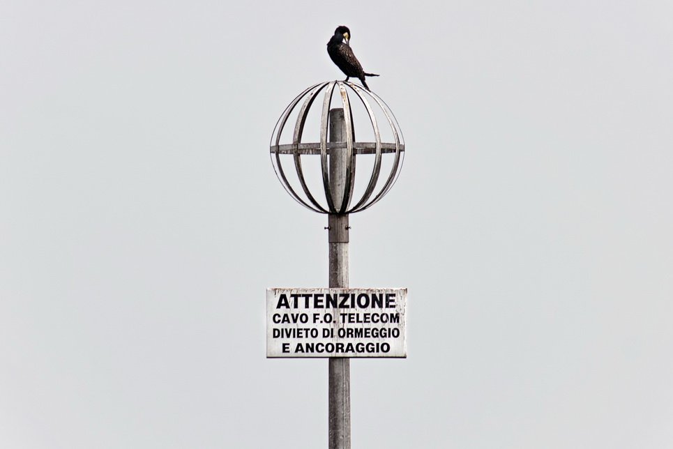 F Unterwegs Venedig