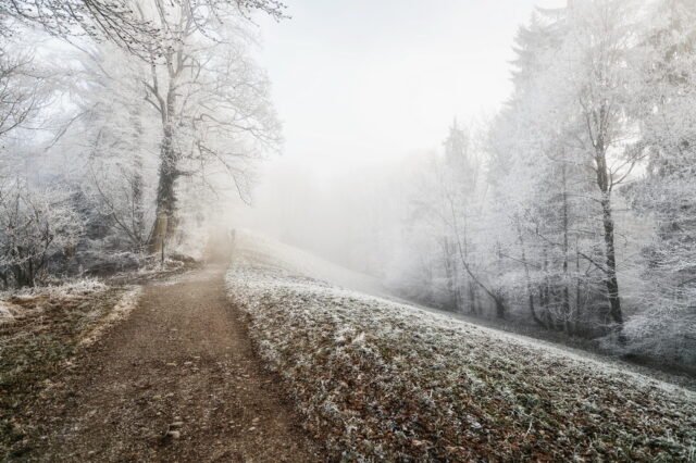 Landschaft Frost 01