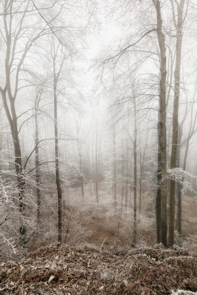 Landschaft Frost 02