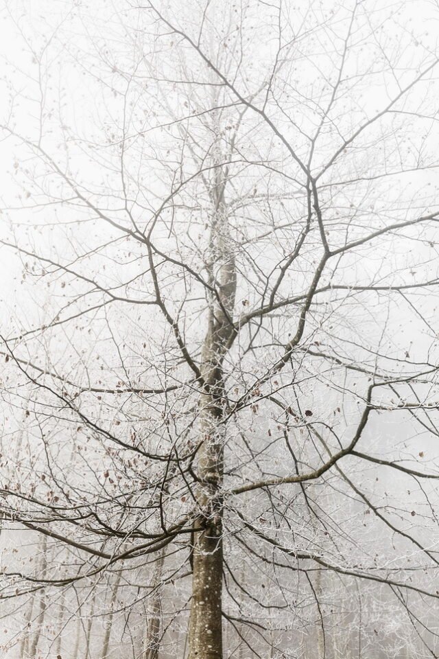 Landschaft Frost 04