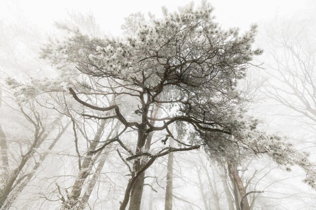 Landschaft Frost 07
