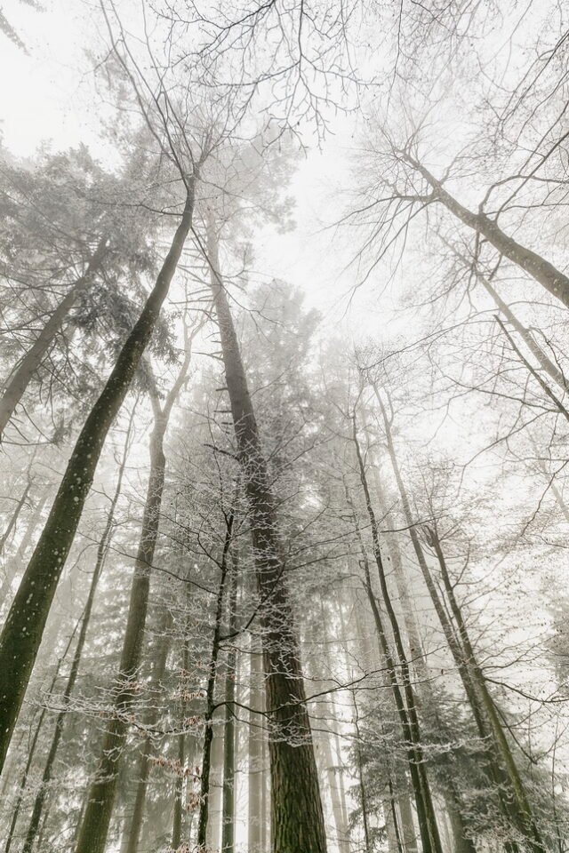 Landschaft Frost 10