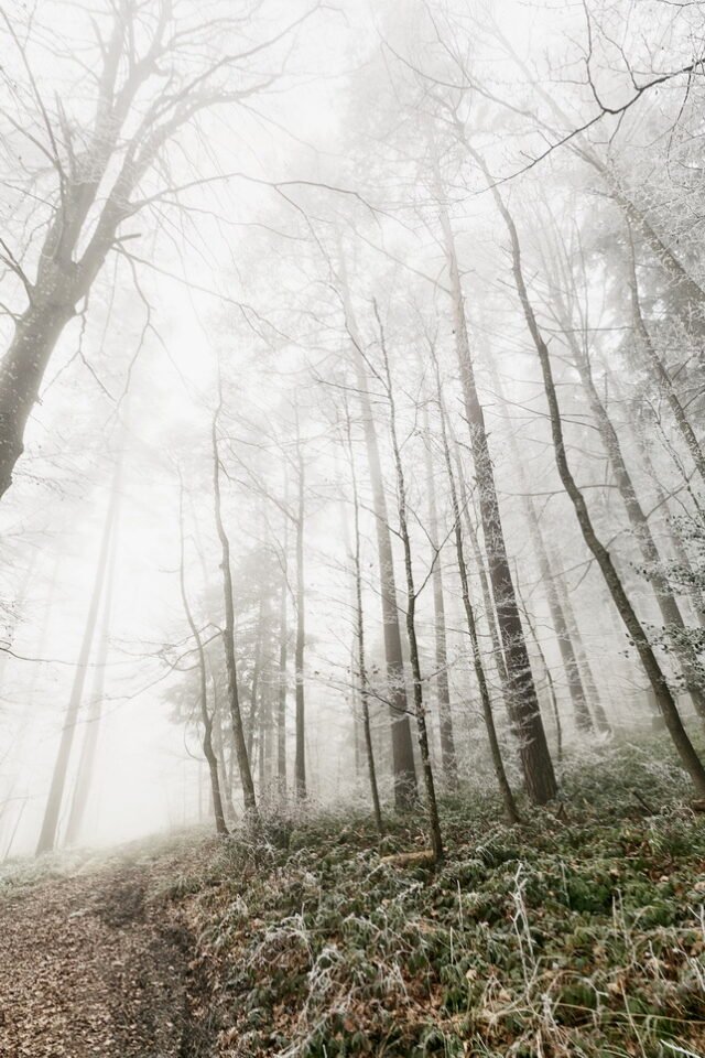 Landschaft Frost 11