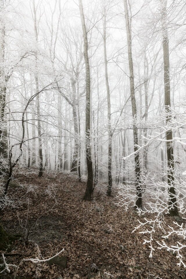 Landschaft Frost 12