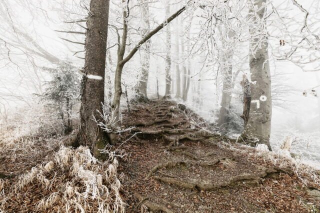 Landschaft Frost 13