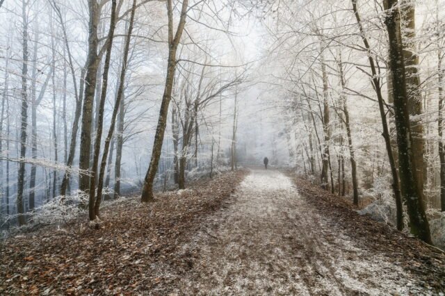 Landschaft Frost 14