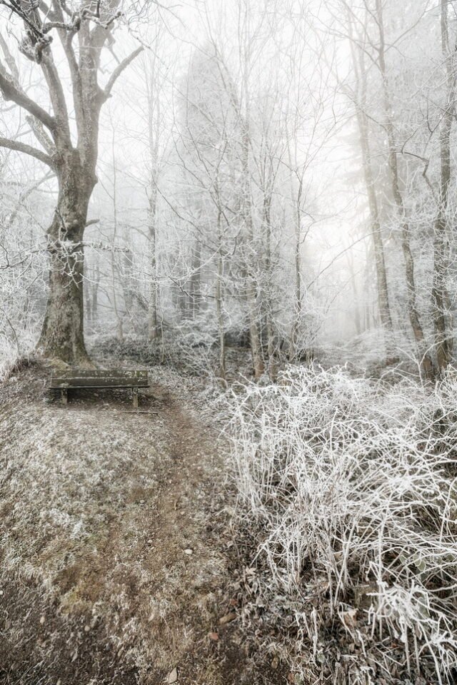 Landschaft Frost 15