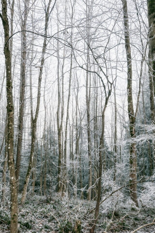 Landschaft Frost 17
