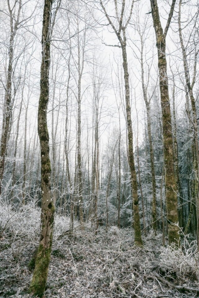 Landschaft Frost 18