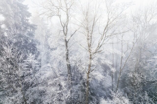 Landschaft Frost 19