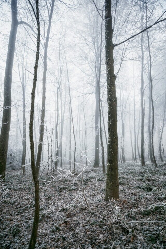 Landschaft Frost 20
