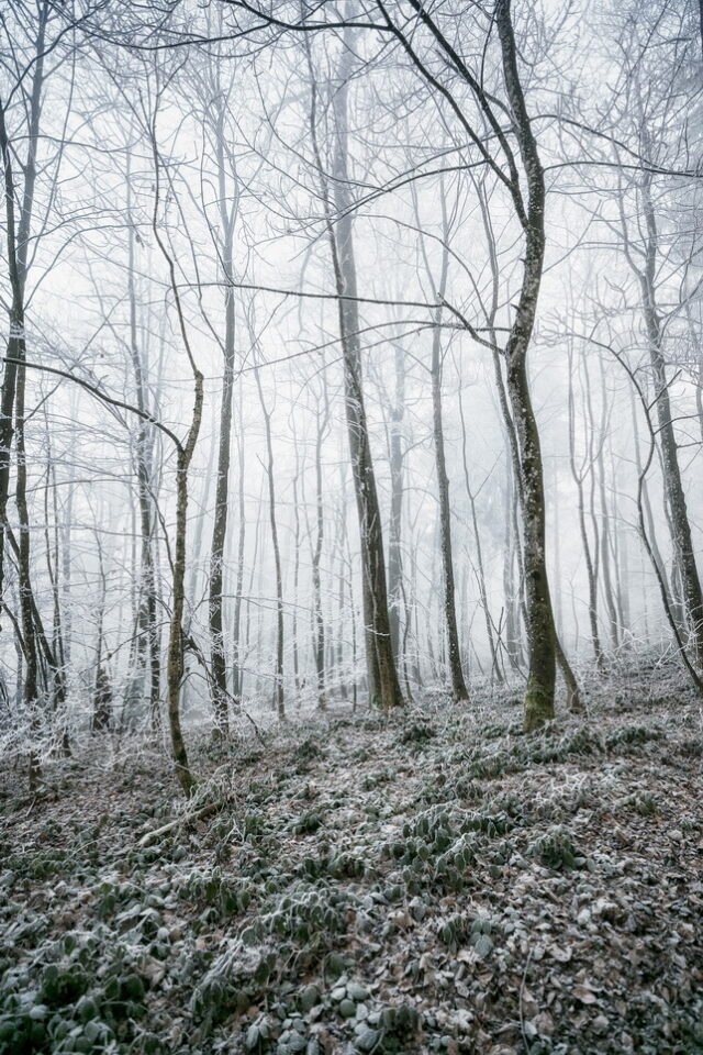 Landschaft Frost 21