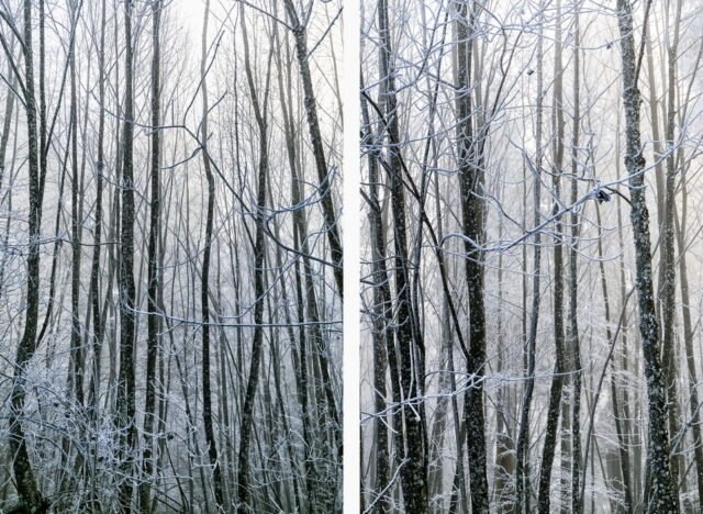 Landschaft Frost 22