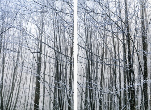 Landschaft Frost 24