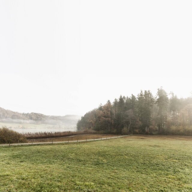 Landschaft Herbst 03