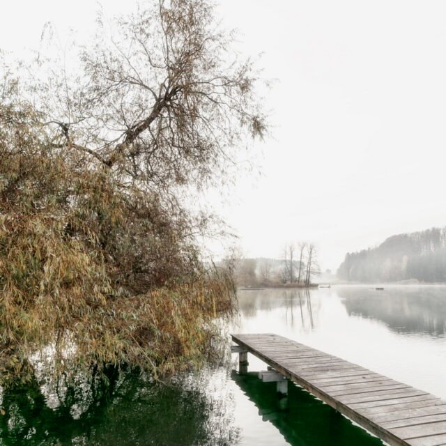 Landschaft Herbst 06