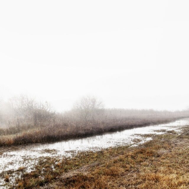 Landschaft Herbst 08