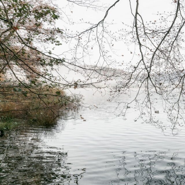 Landschaft Herbst 09