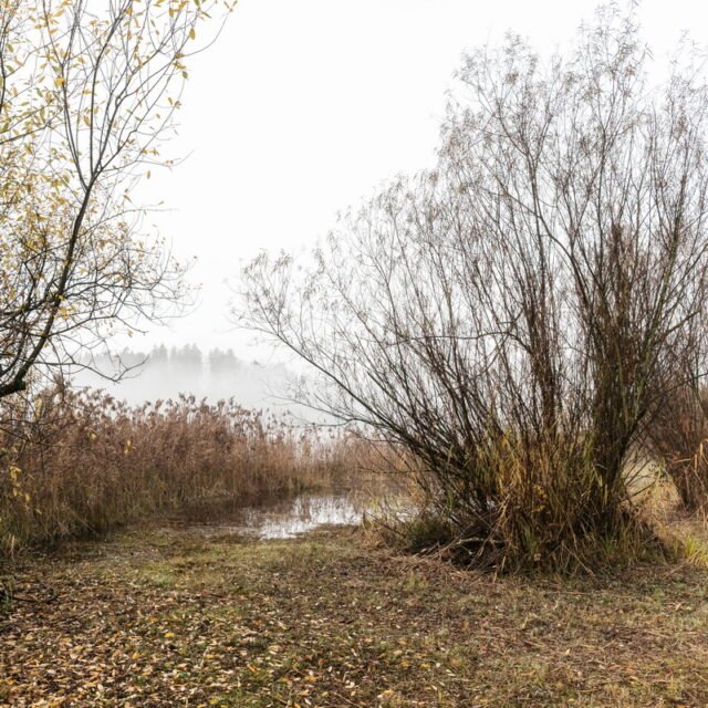 Landschaft Herbst 10
