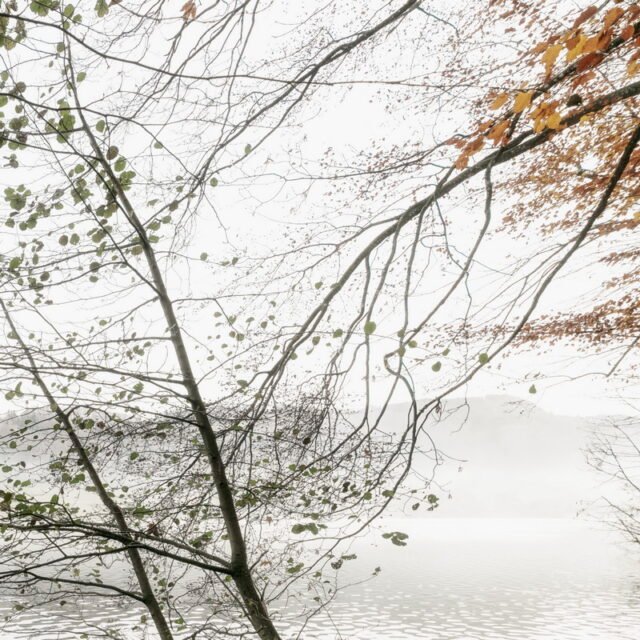Landschaft Herbst 11