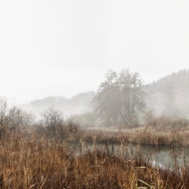 Landschaft Herbst 14