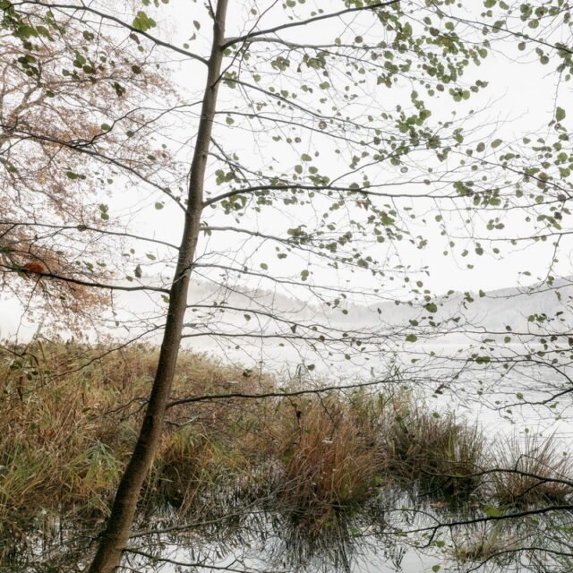 Landschaft Herbst 15