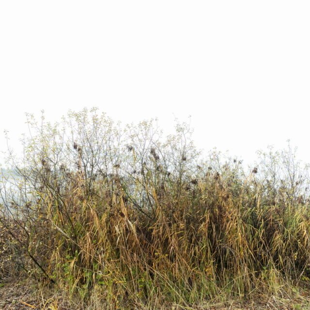 Landschaft Herbst 16