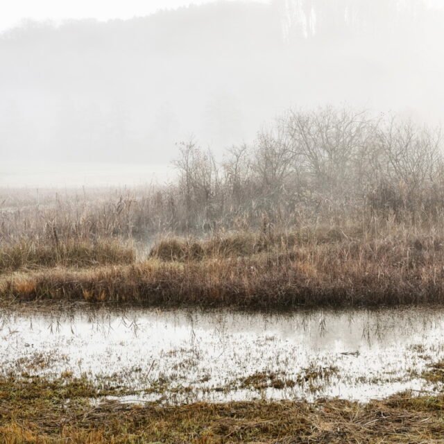 Landschaft Herbst 19