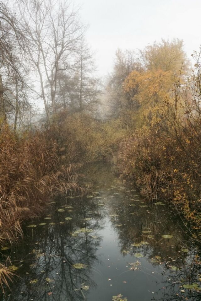 Landschaft Herbst 23