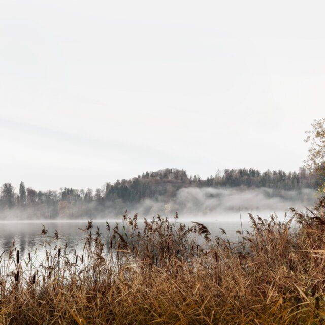 Landschaft Herbst 26