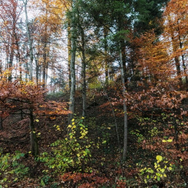 Landschaft Herbst 30
