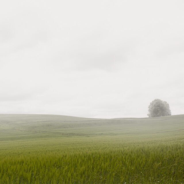 Landschaft Himmel Gruen 08
