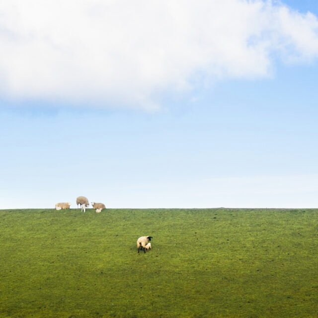 Landschaft Himmel Gruen 13