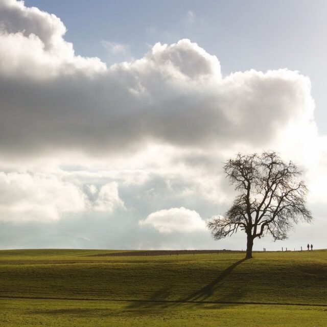 Landschaft Himmel Gruen 28